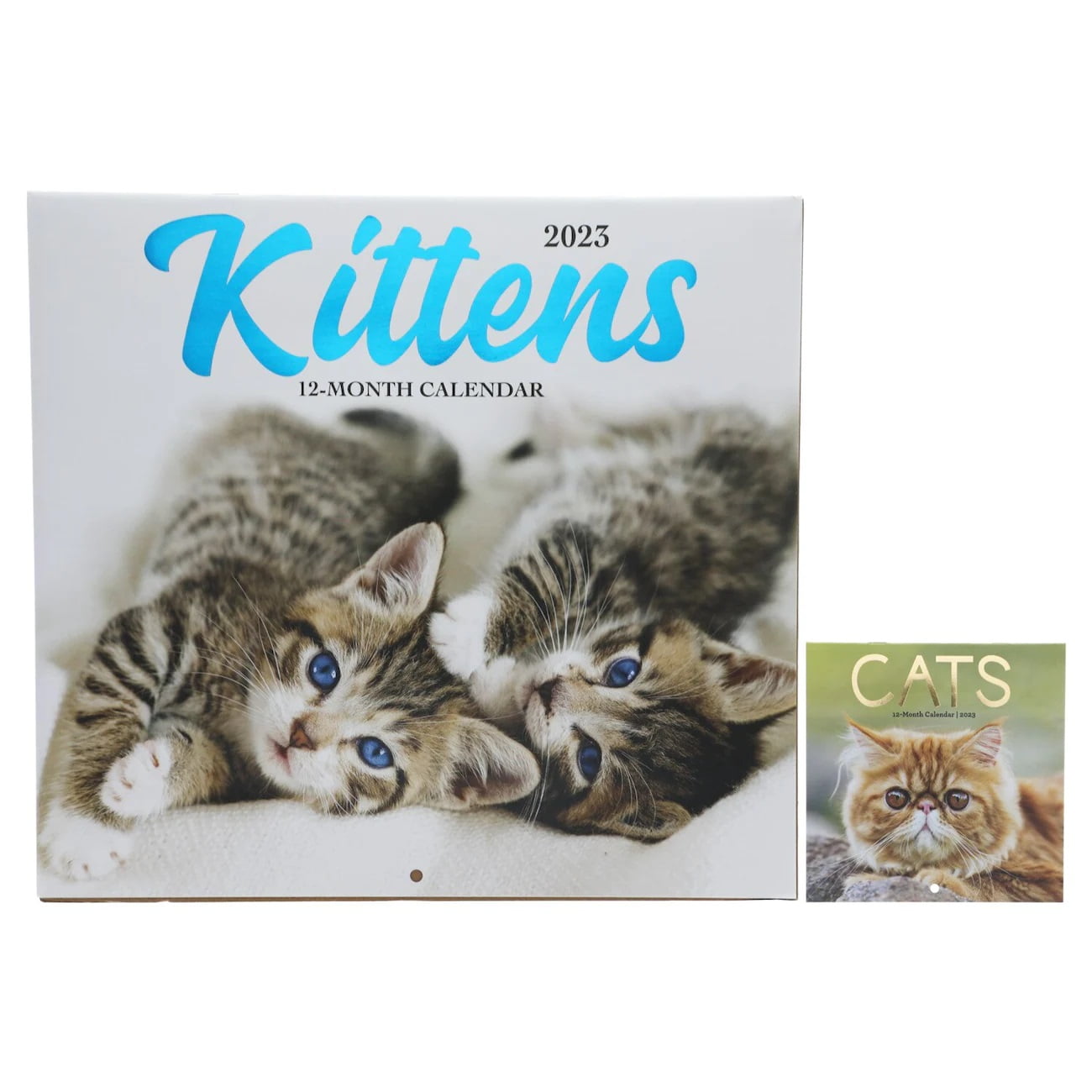 CGT 2023 Monthly Wall Calendar Large Kittens & Mini Cat Calendars 12-Month Organizer Planner Novelty Gift (Set of 2)