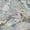 Gray, variant on Addison Rugs Chantille Indoor/Outdoor Transitional Floral Black Machine Washable Rectangle Rug, 10' x 14'