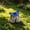 Blue-Free Size/BU, variant on Illuminated Garden Light Outdoor Solar Powered Turtle Figurine Pathway Patio Yard Lawn Decor Colorful LED Statue Ornament