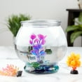 thumbnail image 2 of Aqua Culture Footed Glass Fishbowl, 1 Gallon, 2 of 8