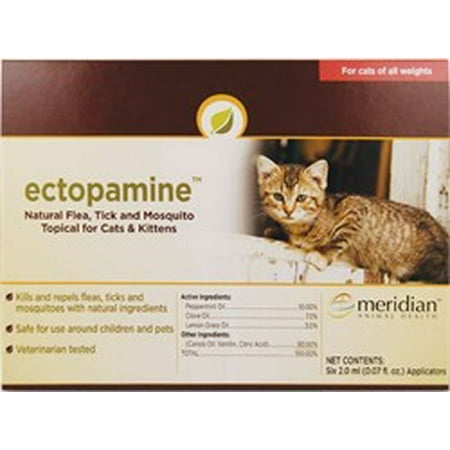Natural Flea Treatment For Kittens Under Weeks Natural Flea Treatment For Kittens Under Weeks