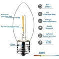 thumbnail image 3 of Home Accents Holiday Indoor/Outdoor 14.5 ft Plug-in Warm White 25 LED Light String, 3 of 9