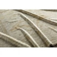 thumbnail image 6 of Surya Antique ATQ-1000 24x36" Rectangle Wool Area Rug in Light Sage/Ivory, 6 of 6