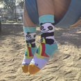 thumbnail image 3 of Panda Hugging Rainbow Socks from the Sock Panda (Ages 3-7), 3 of 6