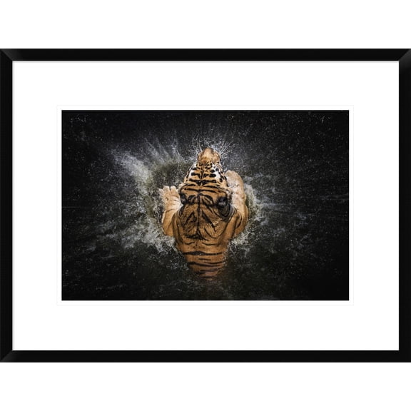 Global Gallery Win Leslee 'Tiger Splash' Framed Wall Art