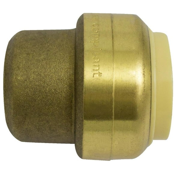 1" Push 'N' Connect Push Fit Brass Test Cap