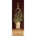 thumbnail image 2 of Gladding, Pamela 9x18 Gold Ornate Wood Framed with Double Matting Museum Art Print Titled - Olive Topiary II, 2 of 4