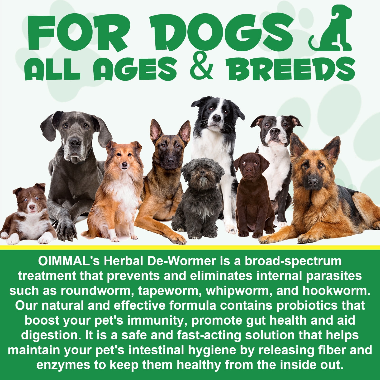 Oimmal Dog Digestive Comfort Liquid with Probiotics, Alcohol-Free, Daily Treats for Dogs - 2 oz(60ml) (3 Pack)