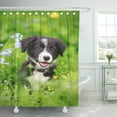 thumbnail image 1 of ABPHQTO Flower Pet Border Collies Black Puppy Dog Nature Summer Cortina de ducha 160x180 cm, 1 of 1