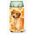 thumbnail image 1 of Carolines Treasures BB9937TBC Rhodesian Ridgeback Automne Grand Garçon Isolant de Boissons Hugger, 1 of 1