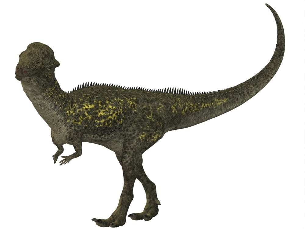 herbivorous dinosaur with long neck and tail