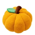 thumbnail image 6 of Trayknick Fruit Shaped Throw Pillow - High Simulation, Full Filling, Comfortable Cartoon Soft Persimmon Pumpkin Orange Plush Toy for Household Supplies, 6 of 8