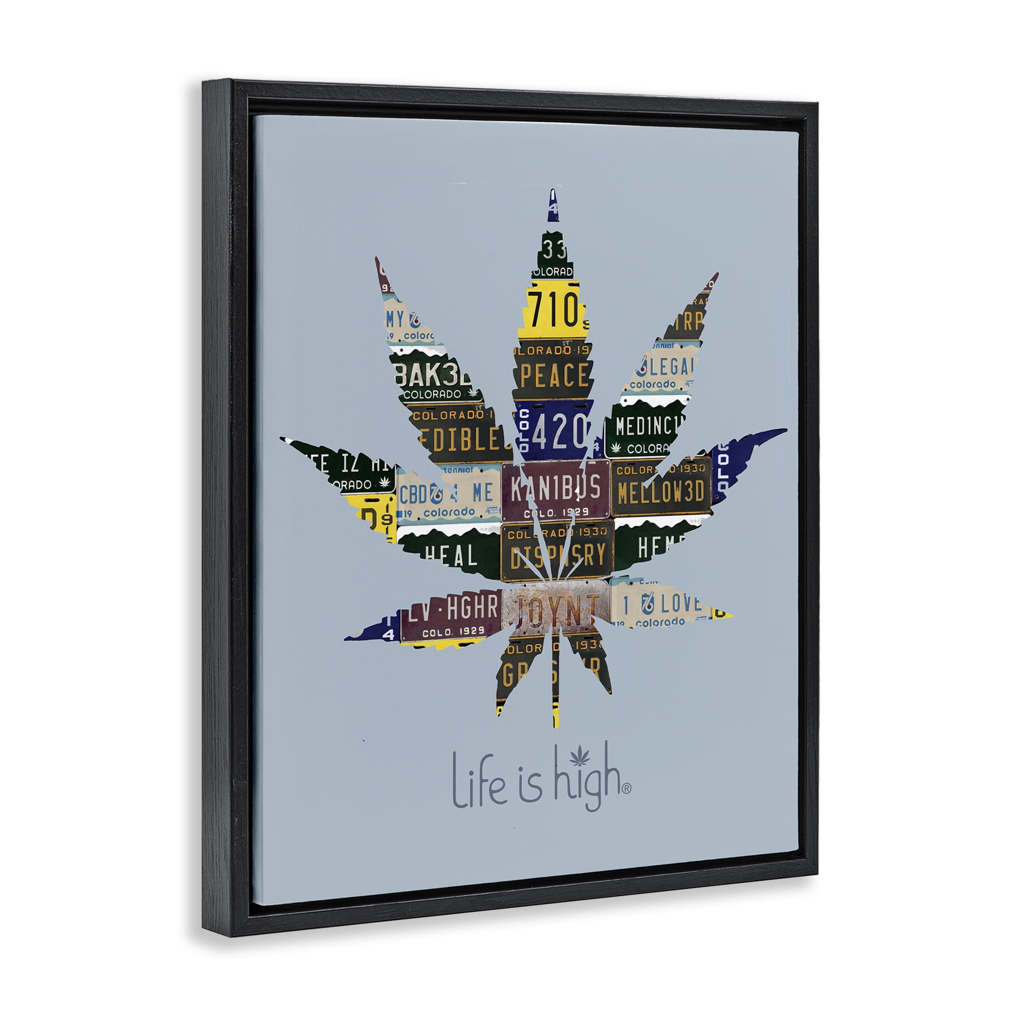 Stupell Industries Life Is High with Plant Novelty & Humor Painting Black Floater Framed Canvas Art Print Wall Art, 17 x 21