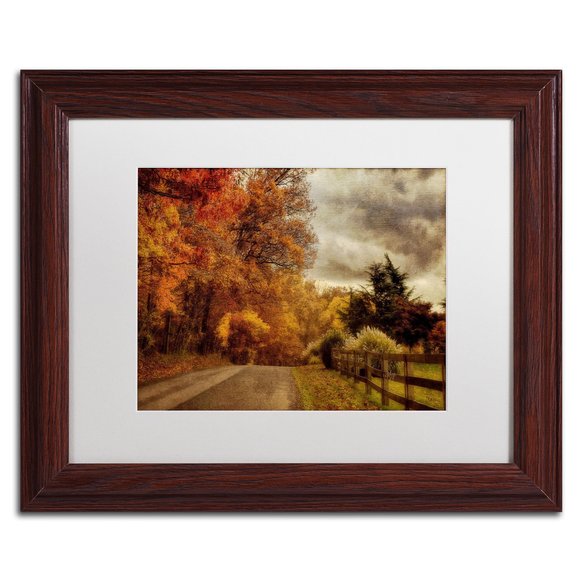 Trademark Fine Art "And the Seasons They Go Round and Round" Canvas Art by Lois Bryan, White Mat, Wood Frame
