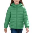 thumbnail image 3 of Unisex Kids Jacket Hooded Padded Coat Full Zip Long Sleeve Warm Winter Outerwear with Zipper Side Pockets for Boys Girls, 3 of 9