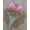 pink heart, variant on 26 You That European and American Multi-color Printed Strap separates Swimsuit Brazilian Sexy Thong Bikini Bikini