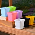 thumbnail image 3 of Nvzi-a 10 pieces thick plastic square succulent plant flowerpot without tray transparent color seedling pot succulent plant pot 7 * 7cm, 3 of 4