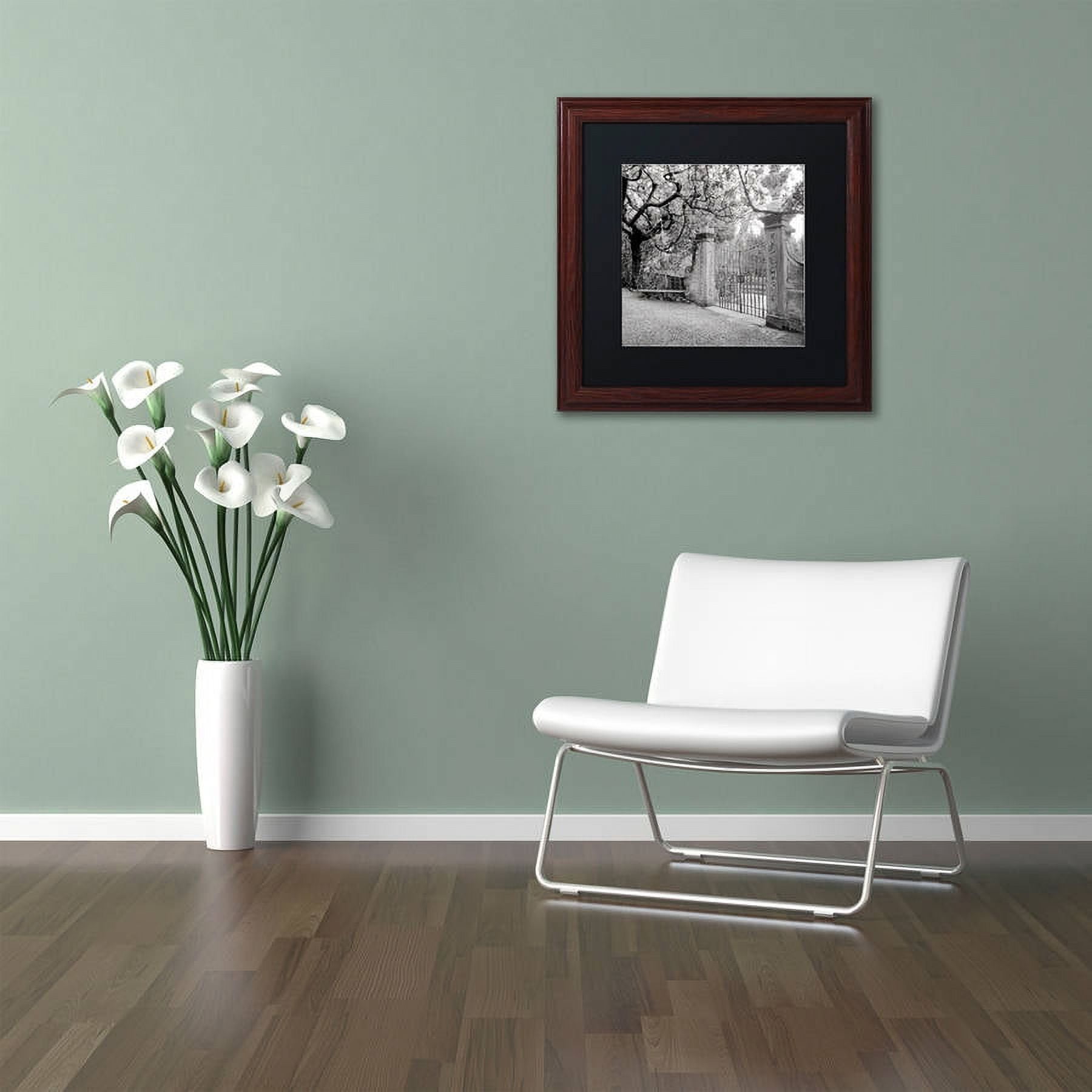 Trademark Fine Art "Firenze I" Canvas Art by Alan Blaustein, Black Matte, Wood Frame