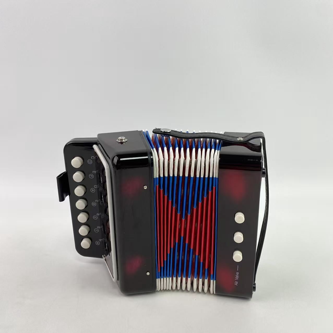 ROAD DOG Musical instruments, Accordion 10 button accordion toy for beginners, lightweight and environmentally friendly (10 button black)