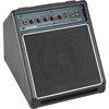 Acoustic AG15 15W 1x8 Acoustic Guitar Combo Amp Black