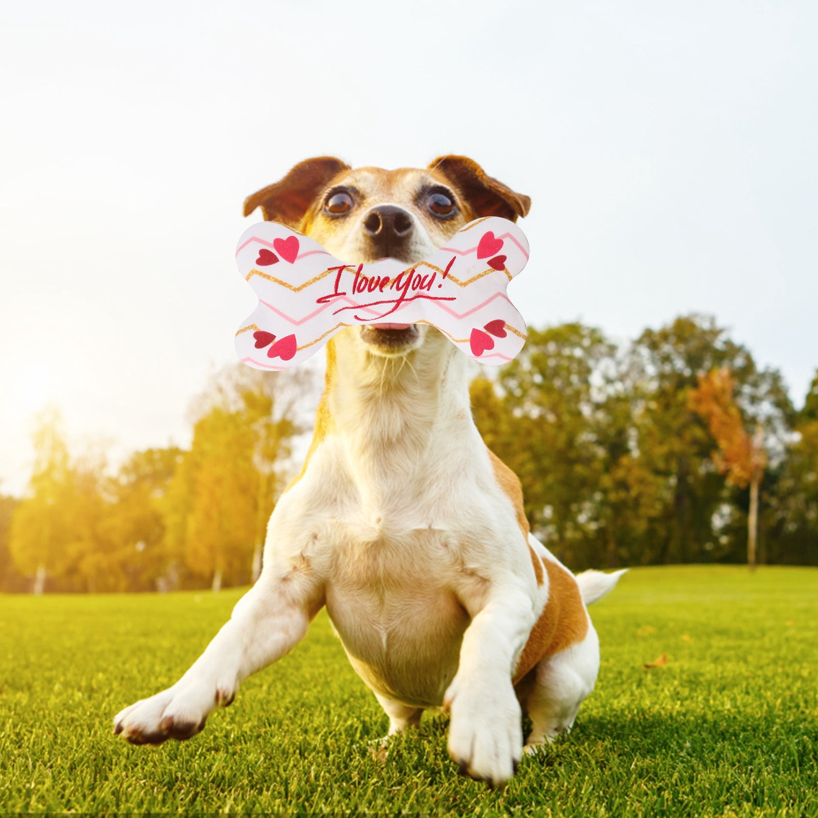 1 Pack Valentine Toys for Dogs Plush Squeaky Bone Shaped Funny Dog Toy Birthday Gift for Small Medium Large Sized Dogs(Heart)