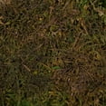 thumbnail image 4 of Vickerman 1.1 Lbs Bag of Green Sheet Moss, Preserved, 4 of 7