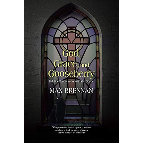 Pre-Owned God, Grace, and Gooseberry: 101 Brief Encounters with the Gospel, 9781490859026, 1490859020, Paperback,