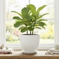 thumbnail image 2 of Wliror 8 Inch White Ceramic Plant Pot - Medium Round Planter with Drainage for Snake Plant Pothos, Modern Flower Pot for Indoor Outdoor Home Garden, 2 of 7