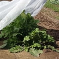 thumbnail image 2 of Floating Row Cover Point Bonded 0.5 oz. 6' x 250', 2 of 3