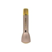 Koolulu Kool Karaoke + Power bank + Speaker - Portable karaoke - gold