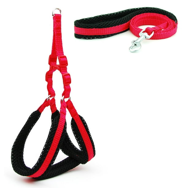 Juego de correa y collar para perro reflectante Correa de cuello tapizada de camuflaje correa de agarre a juego,