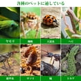 thumbnail image 3 of Reptile Feeding Box Breeding Box Lizard Gecko Snake Habitat Cage Transparent Acrylic Reptile Pet House, 3 of 9