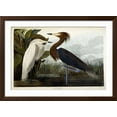 thumbnail image 2 of Art.com Purple Heron, C.1835 Giclee Print by John James Audubon, Brown Frame Wall Art, 44" x 32", 2 of 4