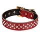 thumbnail image 1 of Collar de perro acolchado de cuero Collar de perro de cristal personalizado de tamaño pequeño y mediano, 1 of 5