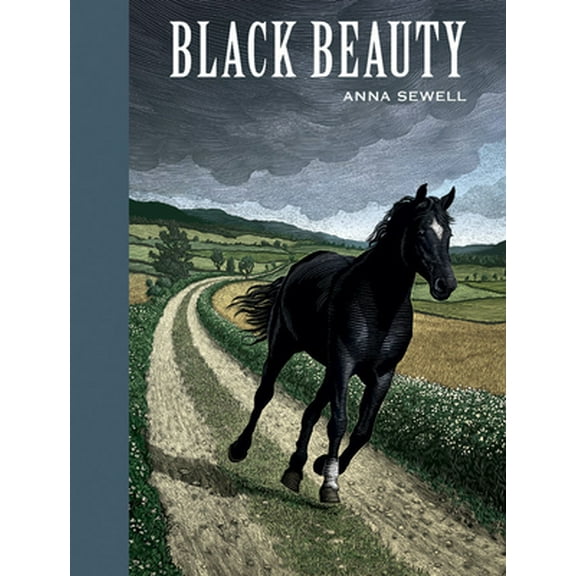 Pre-Owned Black Beauty (Hardcover) 1402714521 9781402714528
