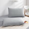 thumbnail image 5 of NT Bay 2 Pack Velvet Queen Pillowcases, Super Soft and Cozy Luxury Solid Color Zippered Pillow Cases, 20 x 30 Inches, Light Gray, 5 of 5