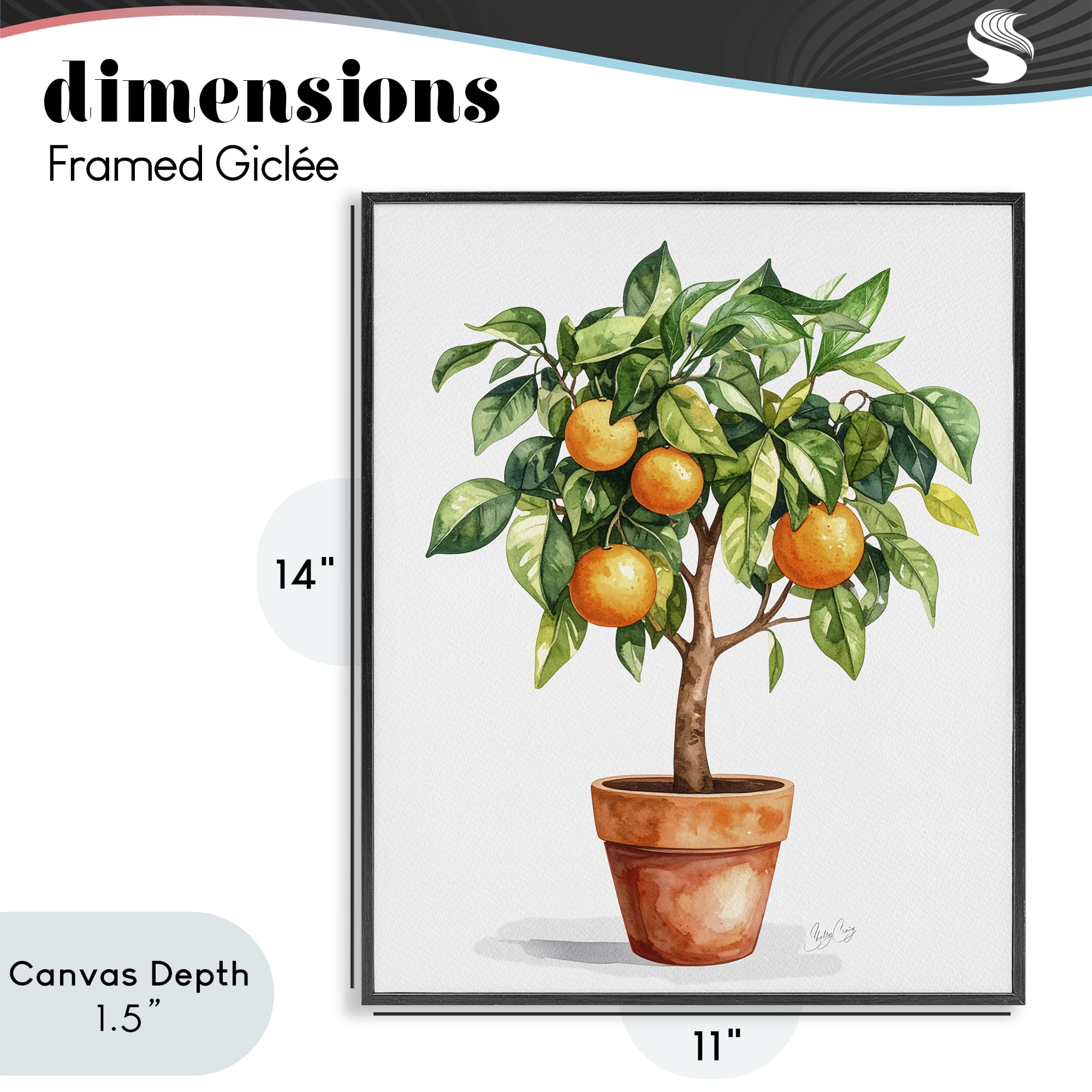 Stupell Industries Potted Orange Tree Black Framed Giclee Art, design by Shelly Craig