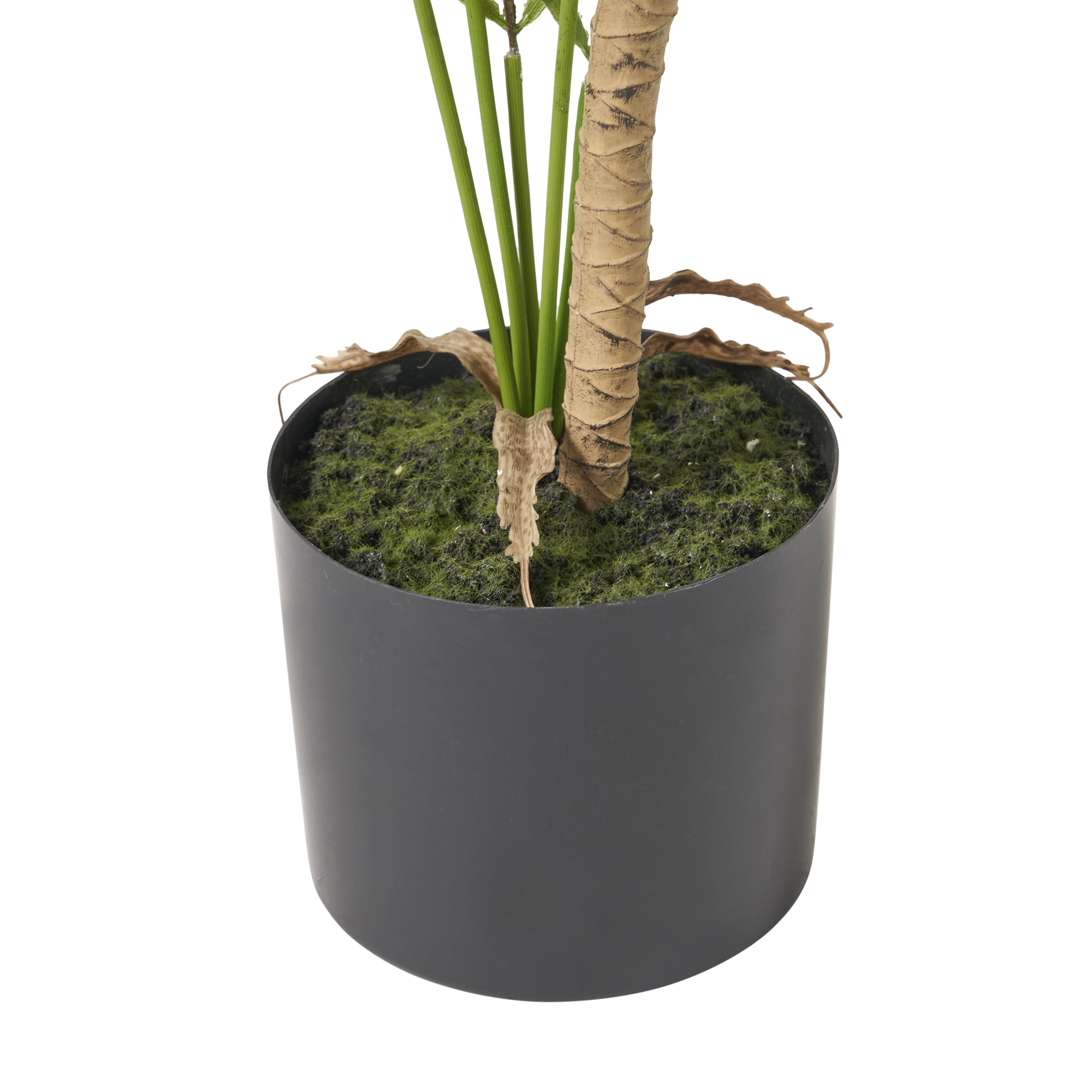 Troup 3' x 2.5' Artificial Tabletop Palm Tree, Green, Faux Indoor Plant