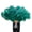 Dark Green, variant on 13Bones Ostrich Feather Fan Stages Performance Carnival Show Accessory Big Feather Fan