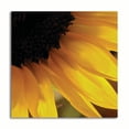 thumbnail image 1 of Gango Home Decor Contemporary Sunlit Sunfloweres VI by Monika Burkhart (Printed on Paper); One 16x16in Fine Art Paper Giclee Print, 1 of 4