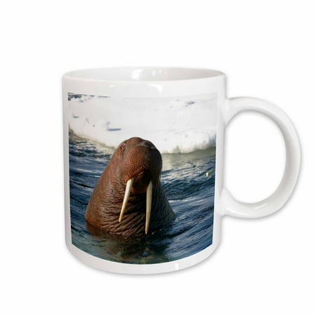 

3dRose Bull Walrus Ceramic Mug 15-ounce