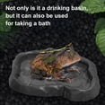 thumbnail image 3 of Reptile Feeder Terrarium Bowl Turtle Food And Water Feeding Dish for Tortoise Lizard Gecko Bearded Dragon, 3 of 8