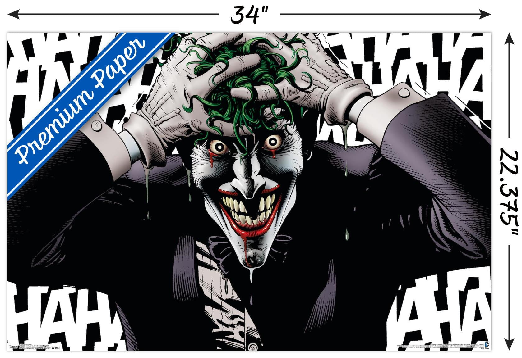 THE JOKER1 a4アート紙 THE JOKER1 a4アート紙