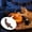 A, variant on Plastic Pumpkin Stem – Black and Brown Decorative Handle for Halloween Pumpkin Head, Craft Projects, and DIY Decor