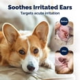 thumbnail image 5 of Vetnique Labs OticBliss Advanced Vet Strength Medicated Ear Drops for Dog Ear Infections, 0.75 fl oz, 5 of 10