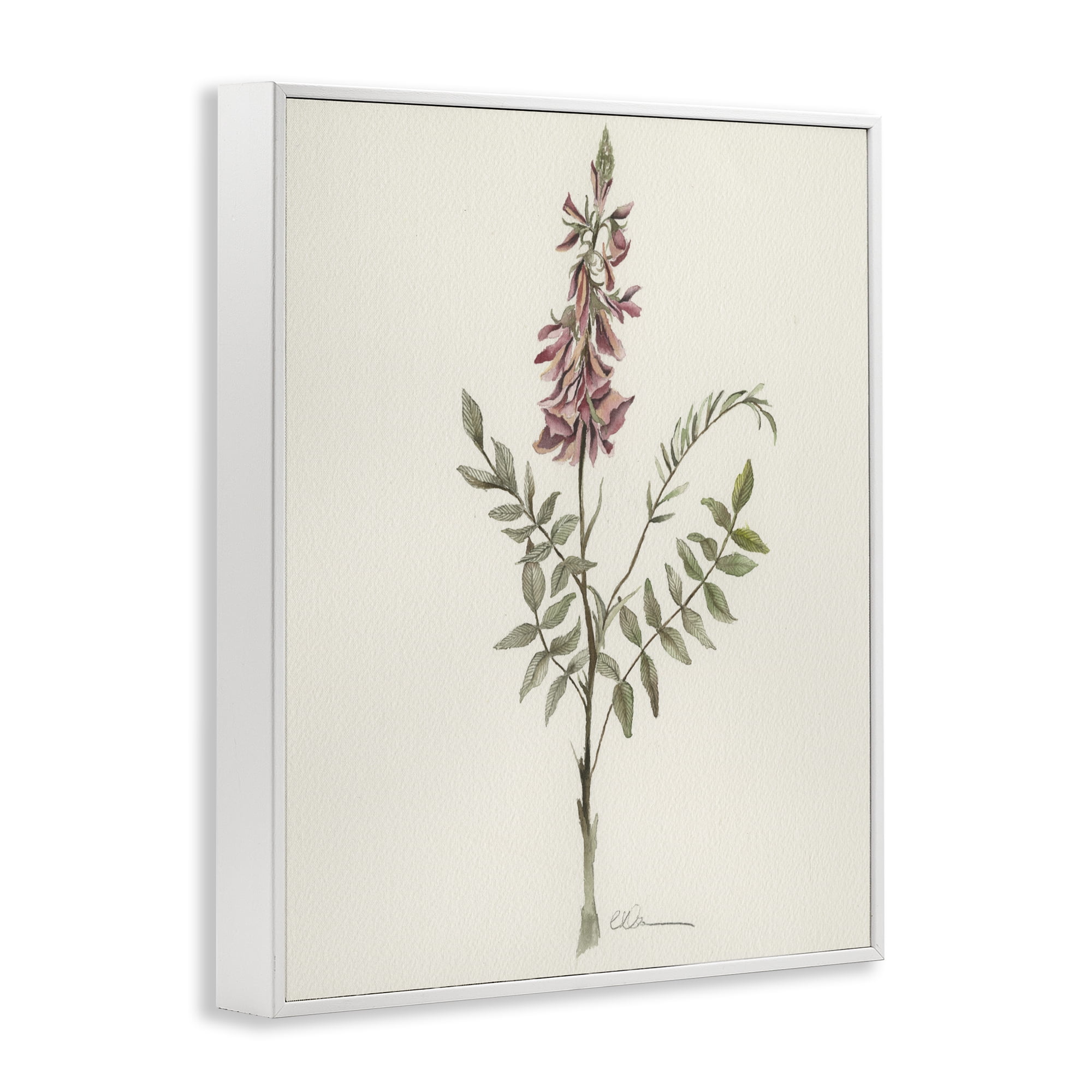 Stupell Industries Nature's Delicate Herb Sprig White Framed Giclee Art, design by Cady Driver