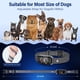 thumbnail image 5 of Collar Antiladridos Recargable e Impermeable Honeynet 69 cm para Perros, 5 of 7