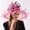 Hot Pink, variant on HAIJIE Beach Sun Straw Hat Women Fascinator Hat Floral Tea Party Wedding Hat Roll up Bow Visor Hat Women's Large Hat Women's Floppy Hats Fisherman Hats for Men Beach Floppy Hat for Women Raffia Visor