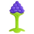 thumbnail image 1 of WHEANG Cleaning Supplies Fruit-Shaped Chewing for Baby Two-Color Stereoscopic Teeth Grinding Stick with Box One Size Multi-Color, 1 of 2