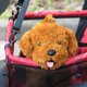 thumbnail image 4 of Portátil Plegable Mascotas Perros Gatos Coche Crate Lookout Booster Bolsa de Asiento Carri Abanopi Almohadilla de coche, 4 of 6